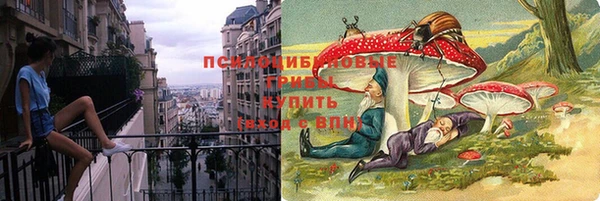2c-b Алзамай