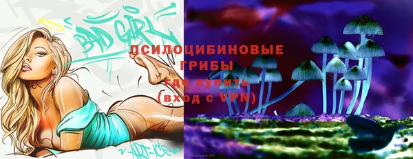 2c-b Алзамай