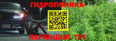индика Бугуруслан