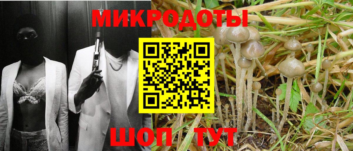 Псилоцибиновые грибы MAGIC MUSHROOMS  Галлюциногенные грибы Magic Shrooms  Вход с VPN  Железноводск 